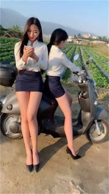 mnominv账号2021