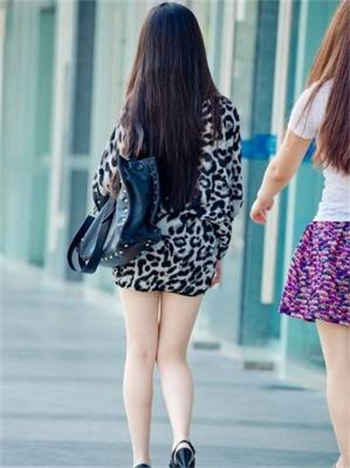 宠师入骨by软耳朵