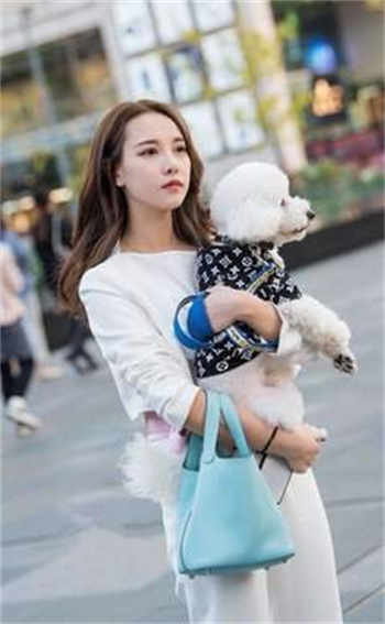 metartmodels韩国在线