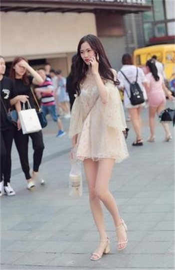 金丝雀霍瑾年慕榕